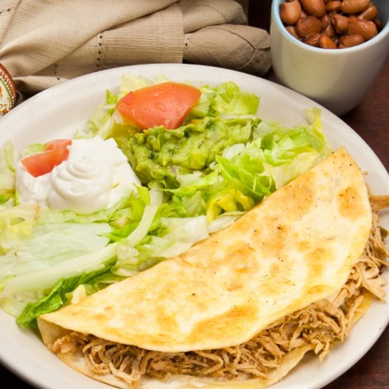 Indulge in Our Quesadilla
